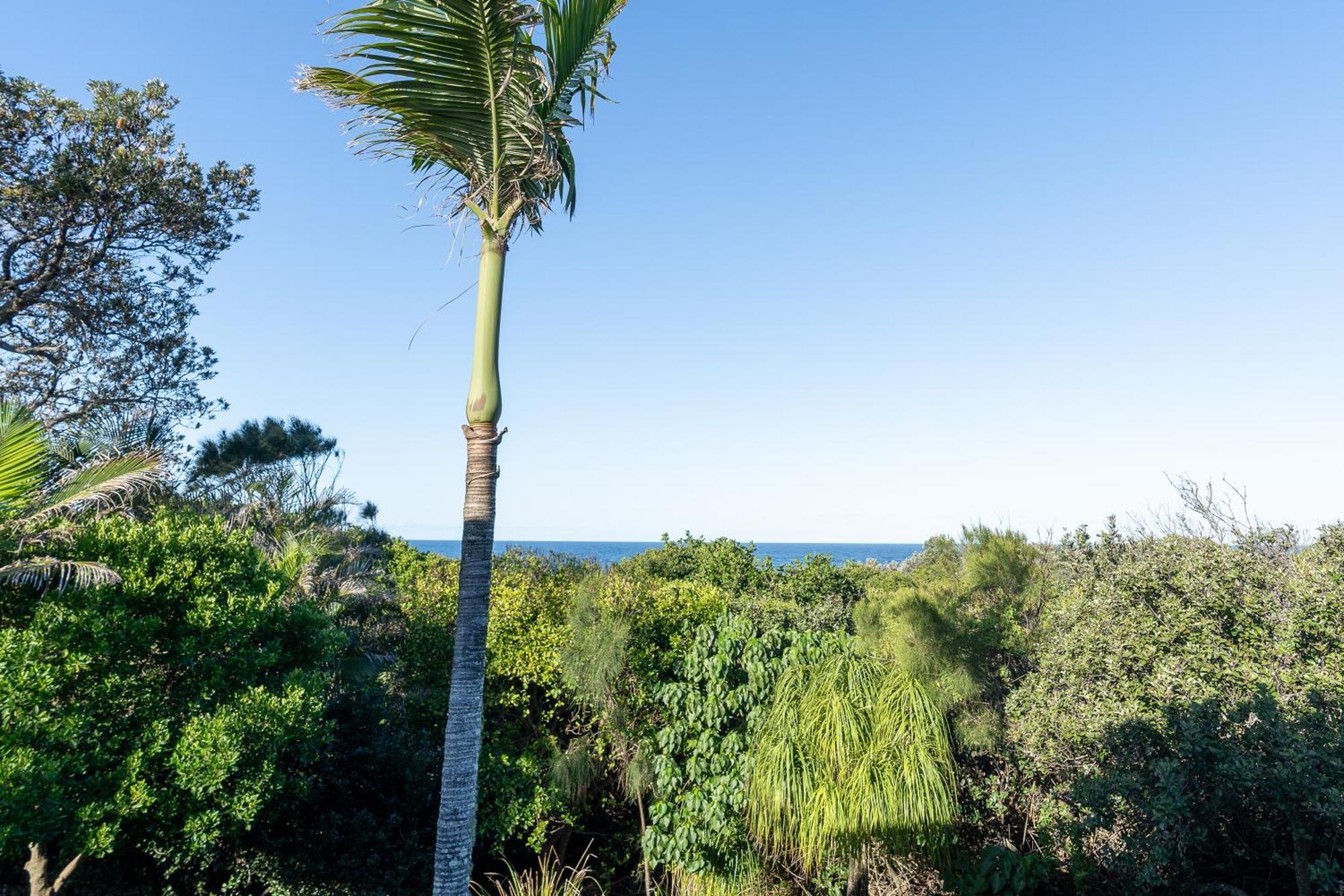 Glen Eden Beach Resort Peregian Beach Eksteriør billede